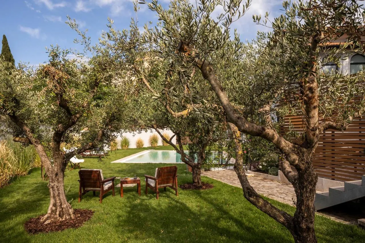 Livia Valeria Palace Rome 0*,  Italy